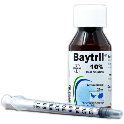 Baytril 10% Oral Solution – Broad-Spectrum Antibiotic for Birds, Rats & Reptiles