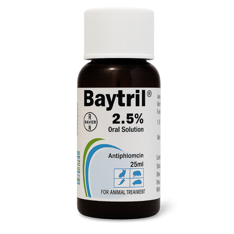 Baytril 2.5% Oral Solution – Broad-Spectrum Antibiotic for Birds, Rats & Reptiles