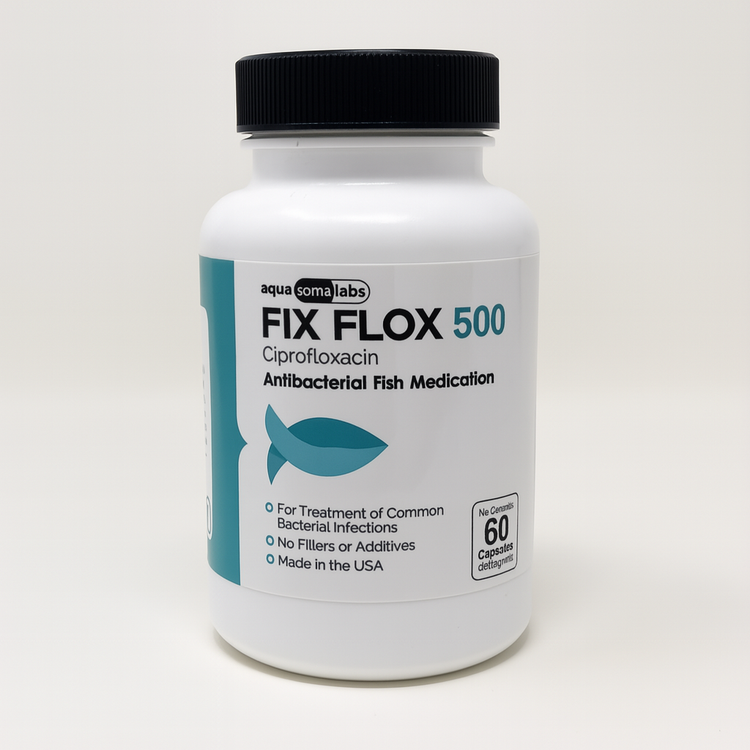 Fish Flox Ciprofloxacin 500 60 Capsules Fish Antibiotics
