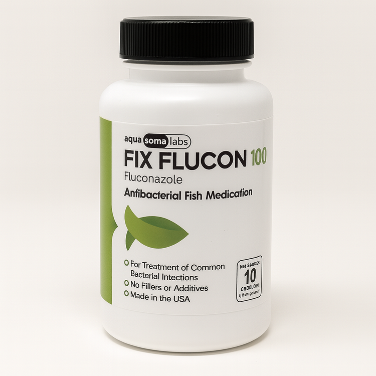 Fish Flucon (Fluconazole) 100mg 10 Capsules