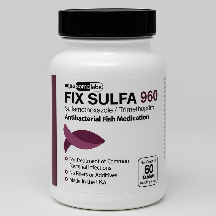 Fish Sulfa (Sulfamethoxazole/ Trimethoprim) 960mg 60 Tablets Fish Antibiotics