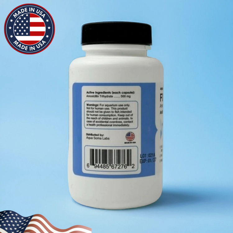 Fish Mox (Amoxicillin) 500 mg 30 Capsules Fish Antibiotics