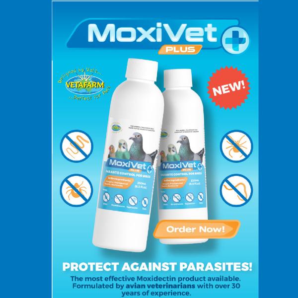 MoxiVet Plus Effective Bird Parasite Control with Moxidectin & Praziquantel