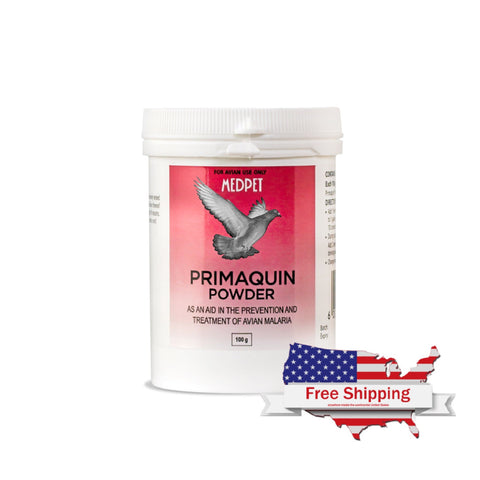 Primaquin Powder (Medpet) Effective Pigeon Malaria Treatment & Prevention