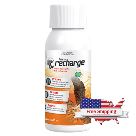 Falcon Recharge (Vetafarm) - Falcon Supplement for Optimal Muscle Recovery
