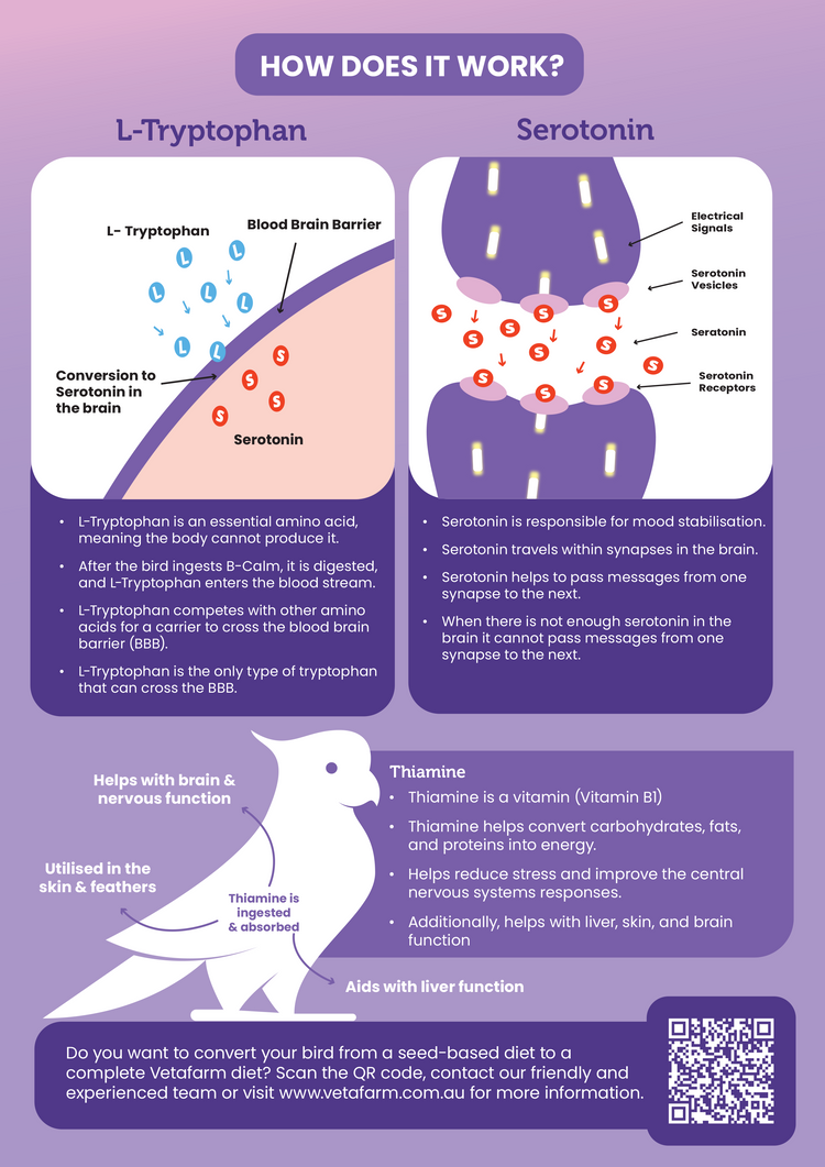 Parrot B-Calm (Vetafarm): Parrot Stress Relief & Bird Anxiety Relief in a Complete Diet