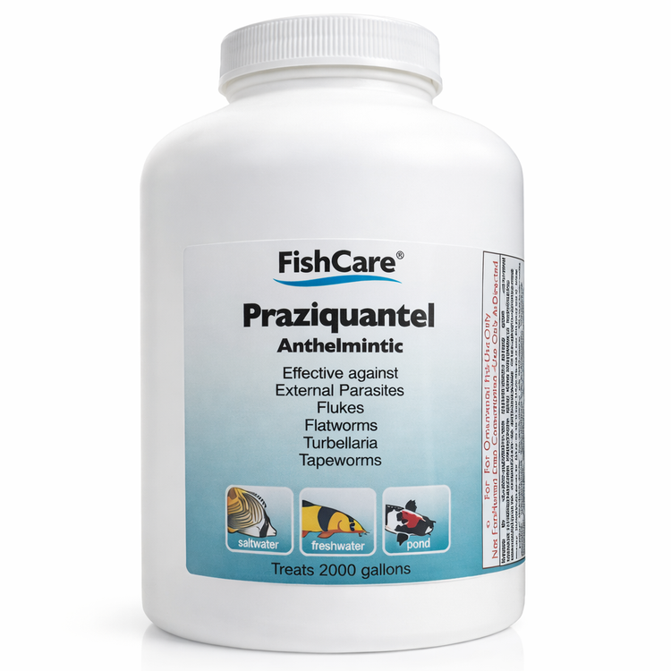 Praziquantel Powder – Treats 2,000 Gallons