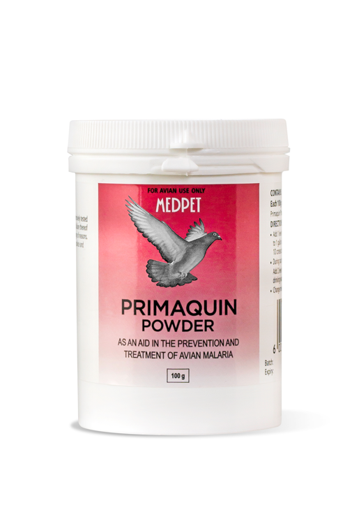 Primaquin Powder (Medpet) Effective Pigeon Malaria Treatment & Prevention