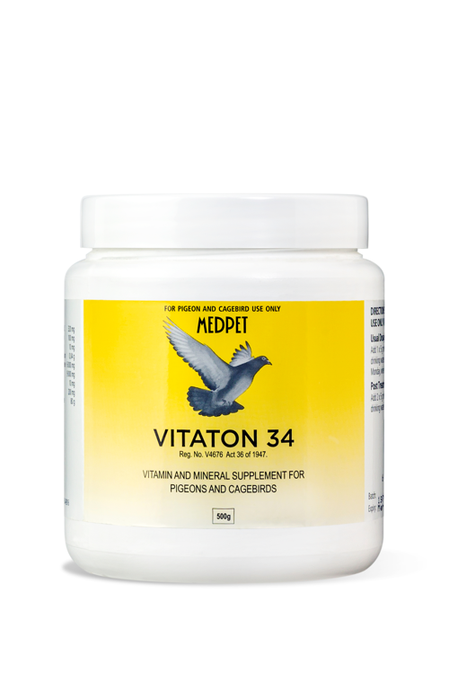 Vitaton-34 (Medpet) Pigeon Vitamin Supplement Boosts Health & Vitality