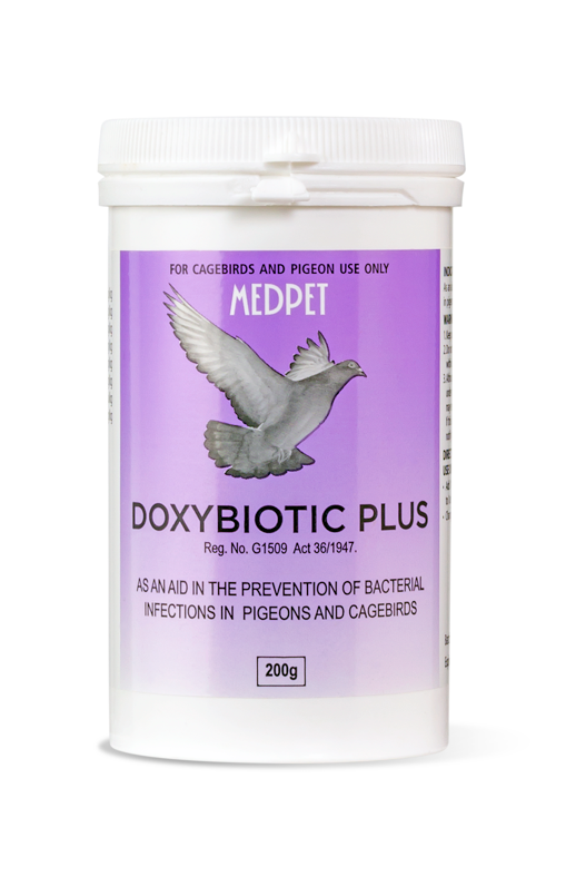 Doxybiotic (Medpet) Effective Psittacosis Treatment in Pigeons and Cage Birds