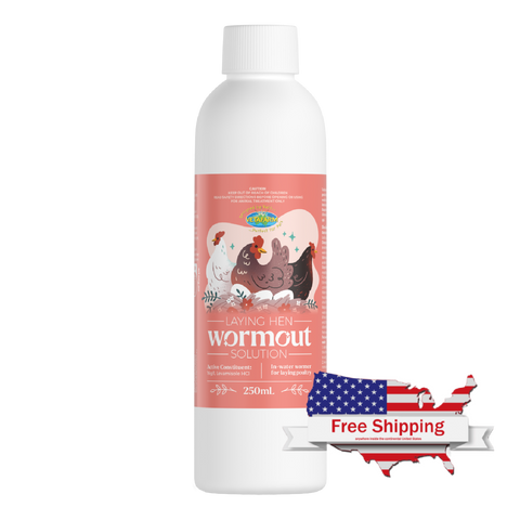 Laying Hen Wormout Solution - No Withholding Period on Eggs (Vetafarm): Treats Intestinal Worms