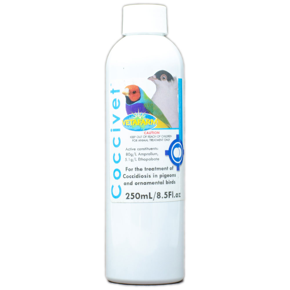 Coccivet – Powerful Coccidiosis Treatment for Pigeons & Ornamental Birds