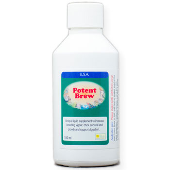 Potent Brew – Live Liquid Probiotic for Birds' Gut Health, Breeding & Stress Recovery