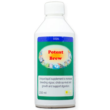 Potent Brew – Live Liquid Probiotic for Birds' Gut Health, Breeding & Stress Recovery