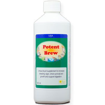 Potent Brew – Live Liquid Probiotic for Birds' Gut Health, Breeding & Stress Recovery