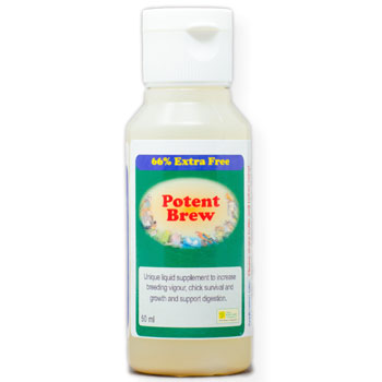 Potent Brew – Live Liquid Probiotic for Birds' Gut Health, Breeding & Stress Recovery