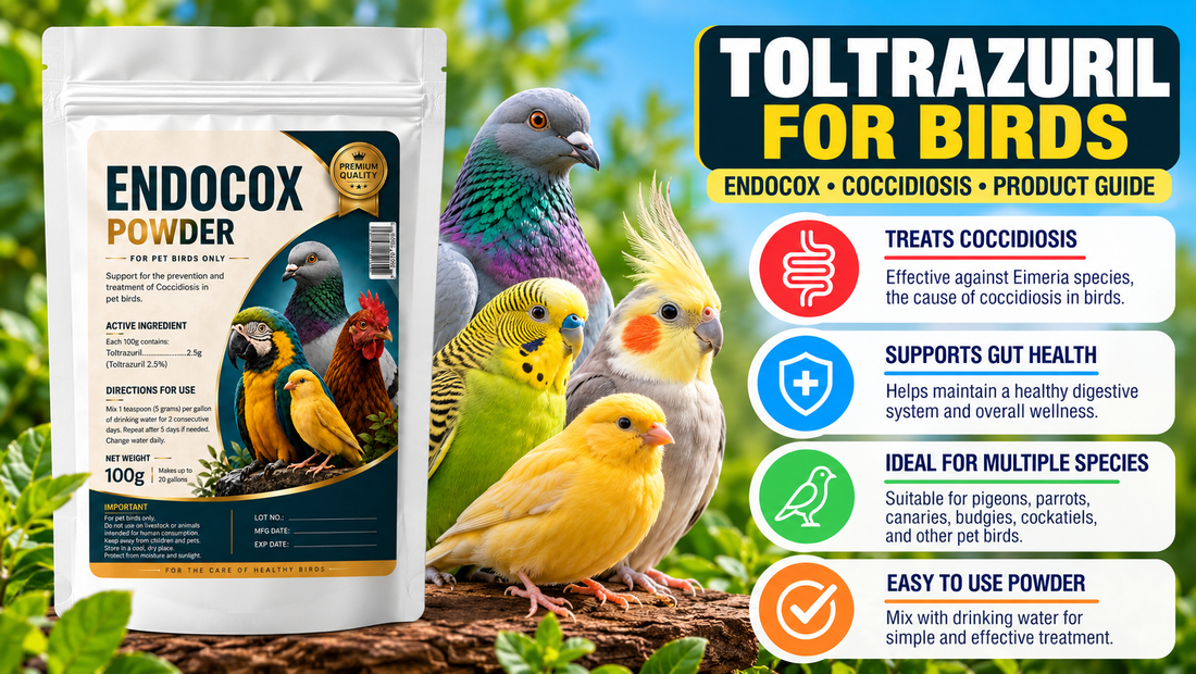 Toltrazuril for Birds: Endocox, Coccidiosis & Product Guide