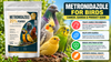 Metronidazole for Birds: Canker, Giardia & Product Guide