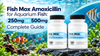 Fish Mox Amoxicillin for Aquarium Fish: 250mg vs 500mg Complete Guide