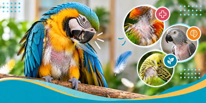 Why Is My Bird Plucking Feathers? Medical, Behavioral & Nutritional Causes
