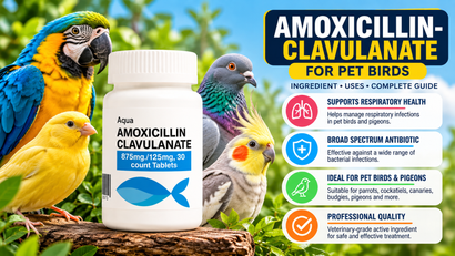Amoxicillin-Clavulanate for Pet Birds: Ingredient, Uses & Product Guide