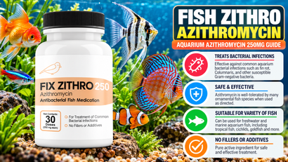 Fish Zithro Azithromycin: Aquarium Azithromycin 250mg Guide