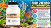Fish Zithro Azithromycin: Aquarium Azithromycin 250mg Guide