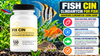 Fish Cin Clindamycin: Clindamycin for Aquarium Fish Guide