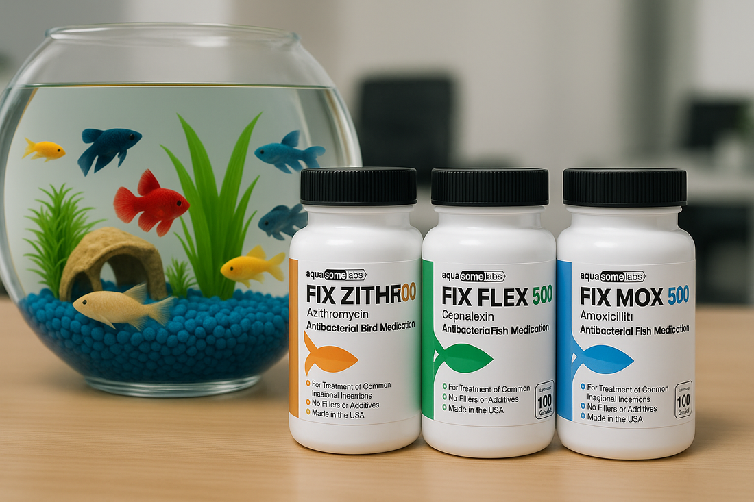 The Ultimate Fish Antibiotics Guide: Types, Treatments, and Long-Term Aquarium Care