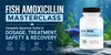 Fish Amoxicillin Masterclass: Complete Aquarium Guide to Dosage, Treatment, Safety & Recovery
