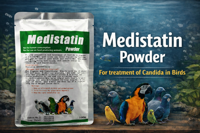 Medistatin – Antifungal Treatment for Candida, Stargazing & Twirling in Birds
