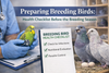 Preparing Breeding Birds: Health Checklist Before the Breeding Season