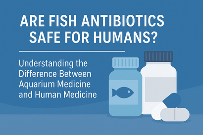 Are Fish Antibiotics Safe for Humans? Understanding the Difference Between Aquarium Medicine and Human Medicine