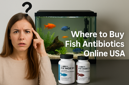Where to Buy Fish Antibiotics Online in the USA: A Complete Guide for Safe, Reliable Aquarium Treatment