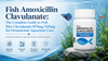Fish Amoxicillin Clavulanate