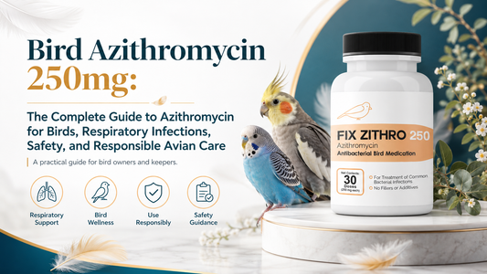 Bird Azithromycin