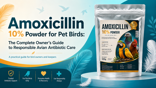 Amoxicillin 10% Powder for Pet Birds: The Complete Owner’s Guide to Responsible Avian Antibiotic Care