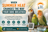 Bird Heat Stress or Respiratory Illness?