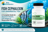 Fish Cephalexin for Ornamental Fish: A Complete Guide for Aquarium Owners, Fish Keepers & Responsible Fish Care