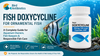 Fish Doxycycline for Ornamental Fish: A Complete Guide for Aquarium Owners, Fish Keepers & Responsible Fish Care