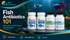 Fish Antibiotics 101: The Complete Guide Every Aquarium Owner Should Know About Fish Diseases, Treatments, Quarantine & Responsible Fish Care