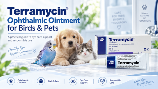 Terramycin Ophthalmic Ointment for Pets