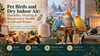 Pet Birds and Dry Indoor Air: Humidity, Heating & Respiratory Health in Fall and Winter