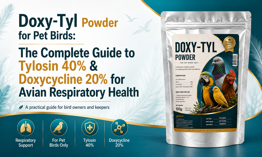 Doxy-Tyl Powder for Birds: Tylosin & Doxycycline Guide