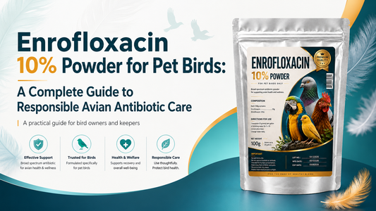 Enrofloxacin 10% Powder for Pet Birds: A Complete Guide to Responsible Avian Antibiotic Care