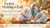 Pet Bird Molting in Fall