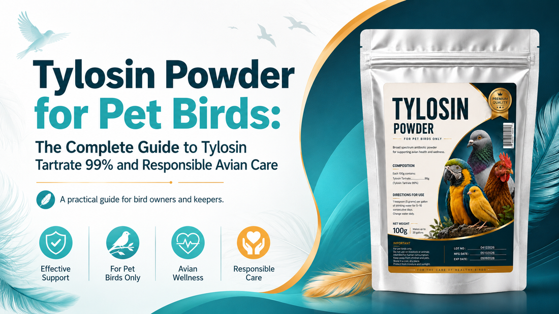 Tylosin Powder for Pet Birds: Tylosin Tartrate 99% Guide