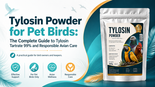 Tylosin Powder for Pet Birds: Tylosin Tartrate 99% Guide
