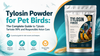 Tylosin Powder for Pet Birds: Tylosin Tartrate 99% Guide