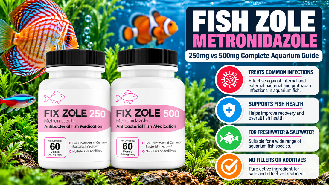 Fish Zole Metronidazole: 250mg vs 500mg Complete Aquarium Guide